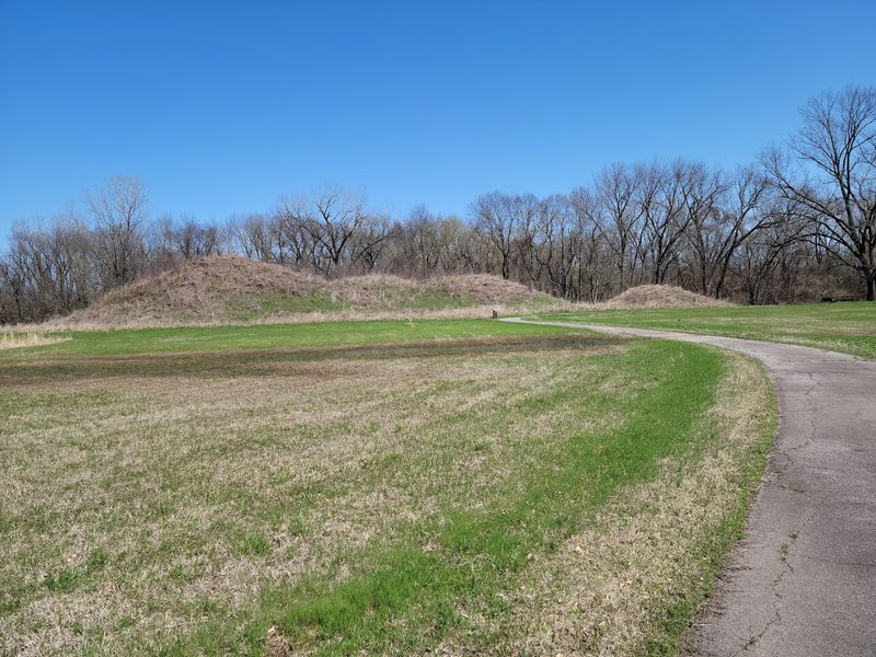 Craig Mound and What It Revealed to the World