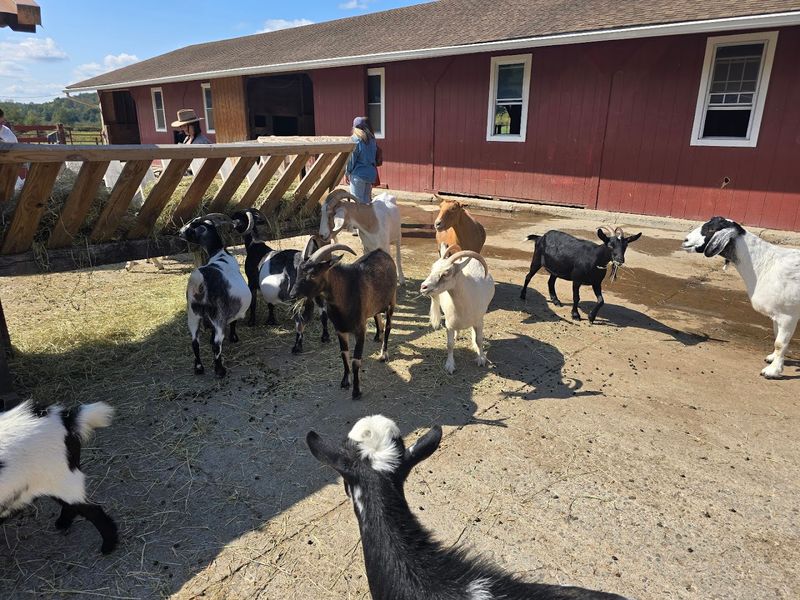 New Jersey's First GFAS-Accredited Sanctuary