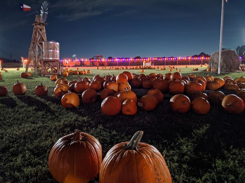The Fall Festival With Corn Maze and Pumpkin Patch