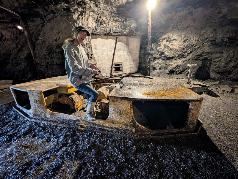 The Immigrant Heritage of Pocahontas