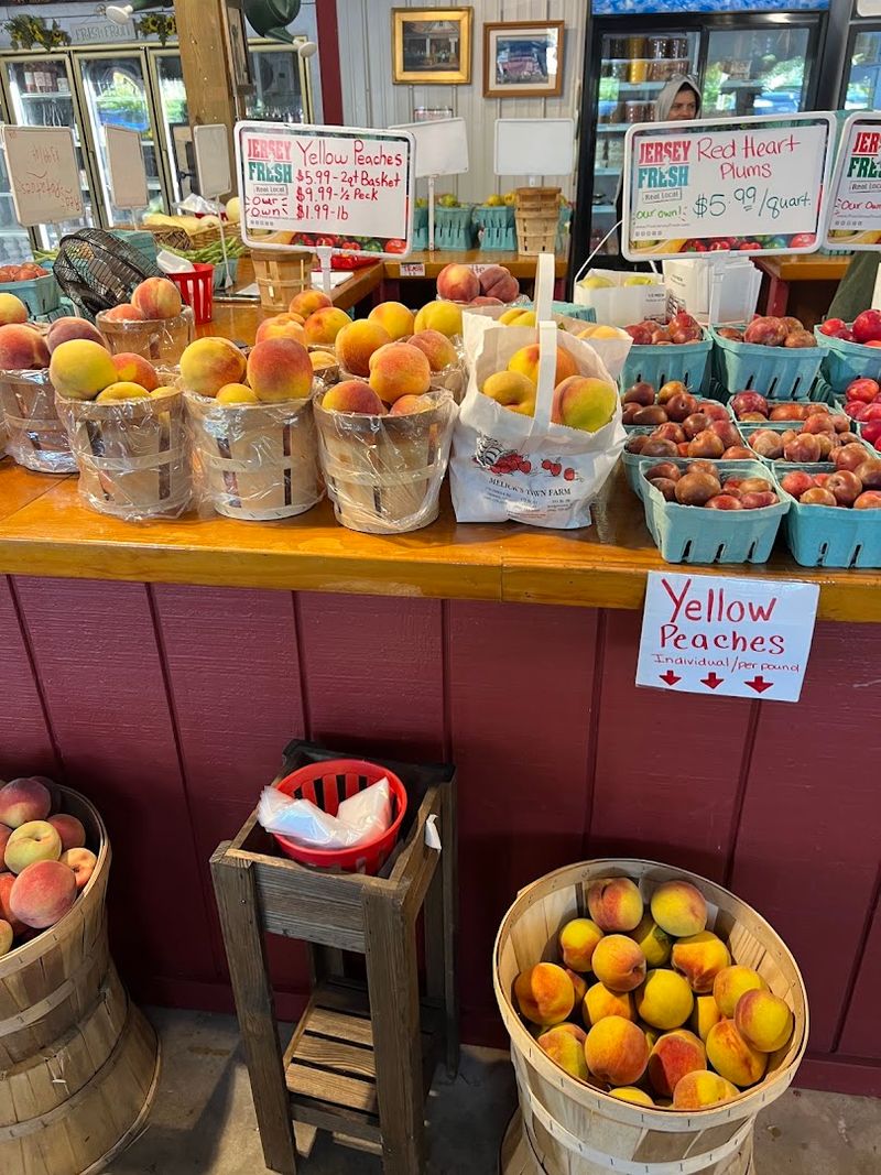 Peach Season Is Something You Plan Your Summer Around