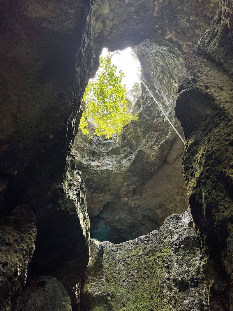 The History and Discovery: Older Than You Think