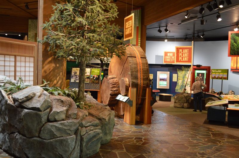 The Gift Shop and Its Surprisingly Charming Finds