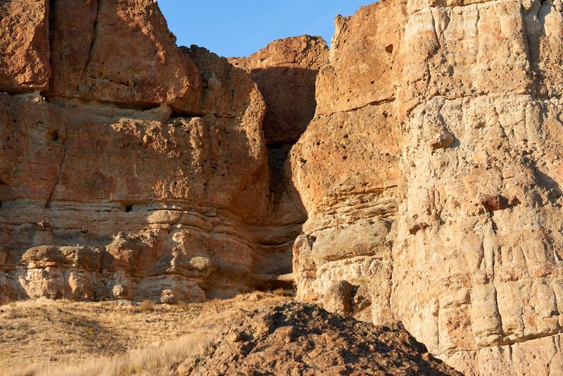 Reading the Fossil Wall Up Close