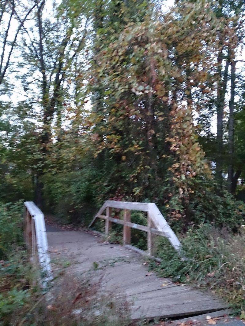 Foxstone Park Today, a Green Escape With a Secret Past