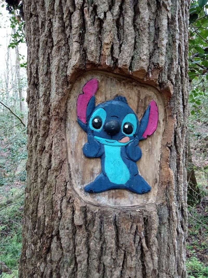 The Enchanted Forest: What This Trail Actually Looks Like