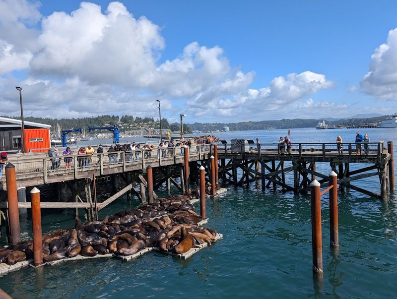 Panoramic Sunset Views That Change Everything