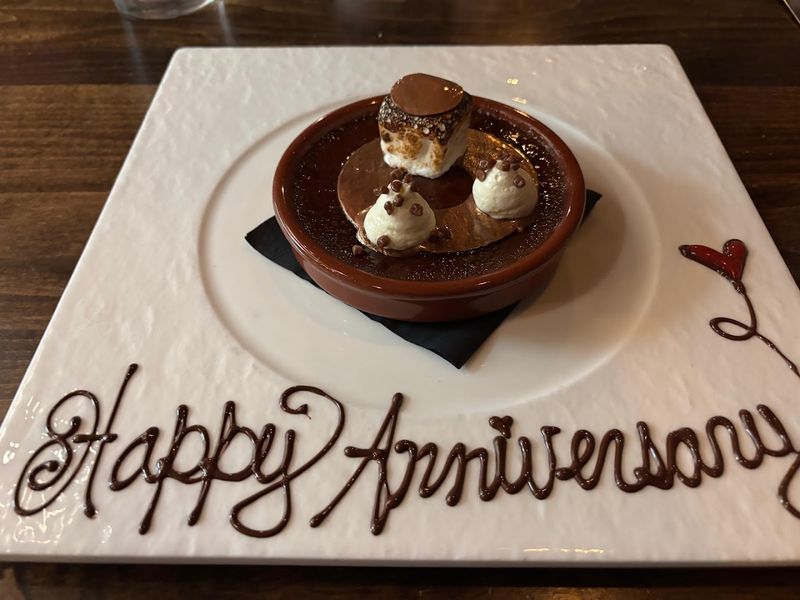 The Chocolate Lab You Can Actually Watch in Action