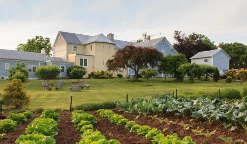 The Gardens and Orchards That Make This Place So Alive