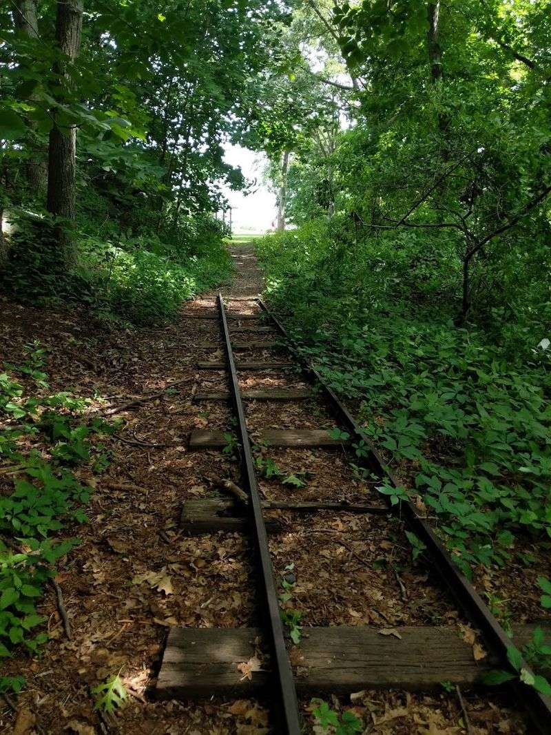 Why The Old Park’s Memory Still Lingers Here