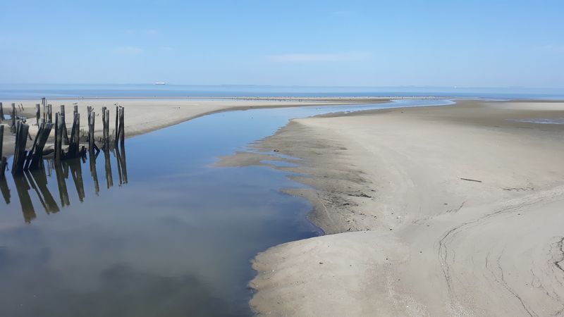 Tide Pools Full of Quiet Surprises