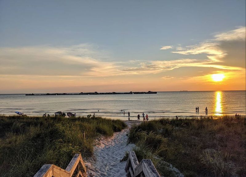 Wildlife Encounters Beyond the Birds