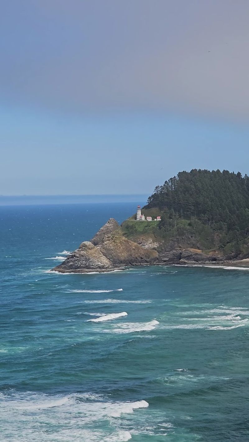 Wildlife and Nature Around Heceta Head