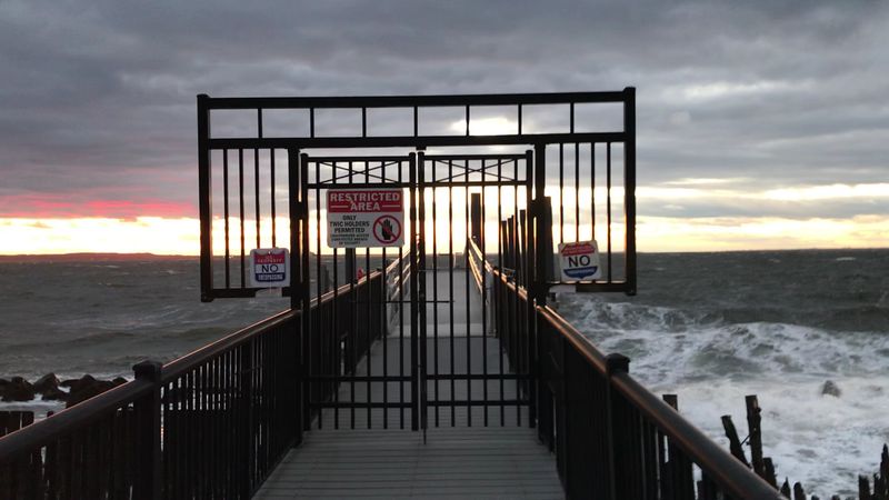 Birdwatching and Wildlife at Sandy Hook