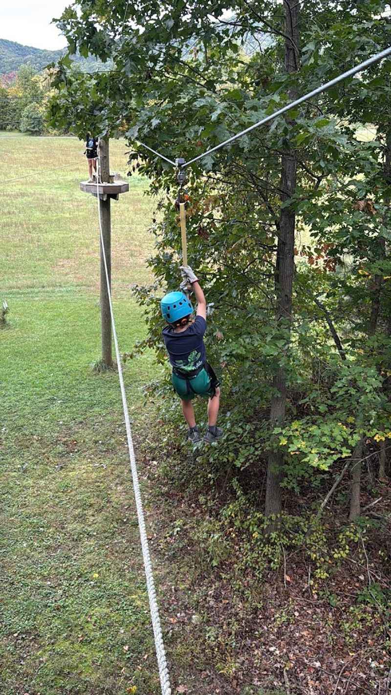 Baby Bear High Ropes Course: Big Thrills for Younger Adventurers