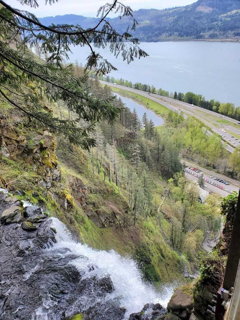 Parking: The Battle Before the Beauty