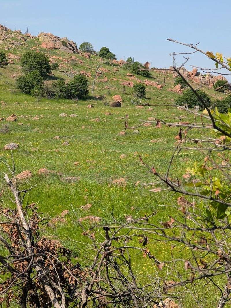 Why the Wilderness Designation Matters So Much