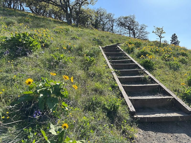 Understanding The Trail Layout Before You Go