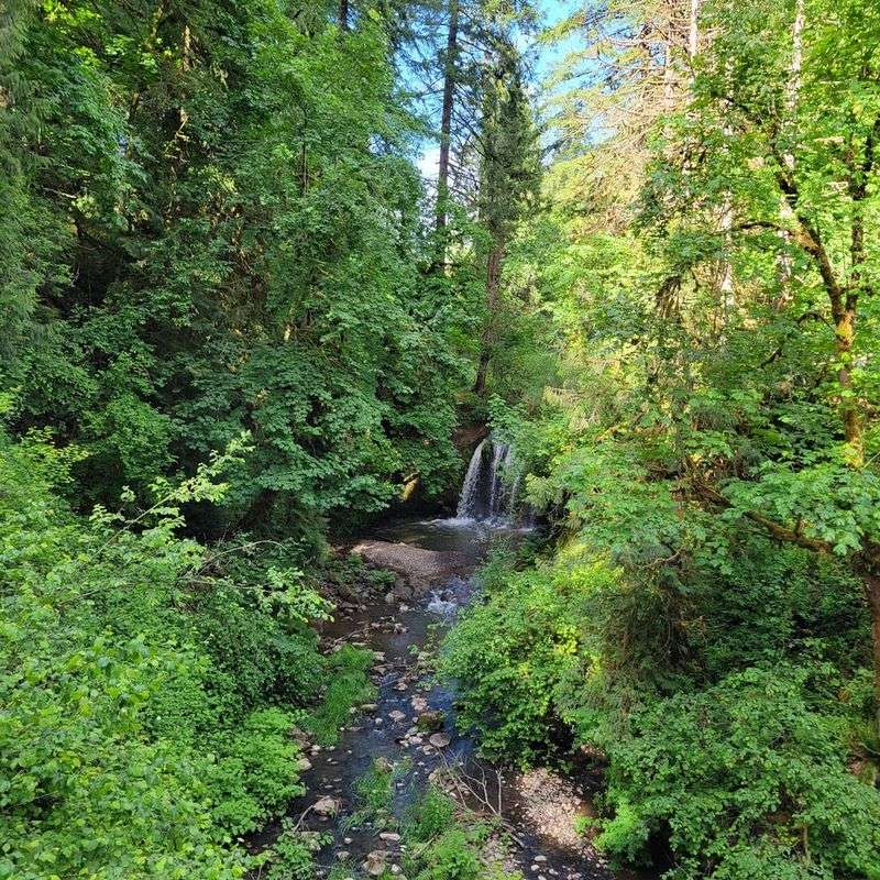 Why This Park Keeps Pulling People Back