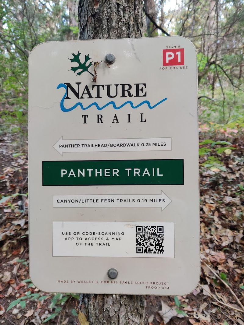 Trail Etiquette That Actually Matters Here