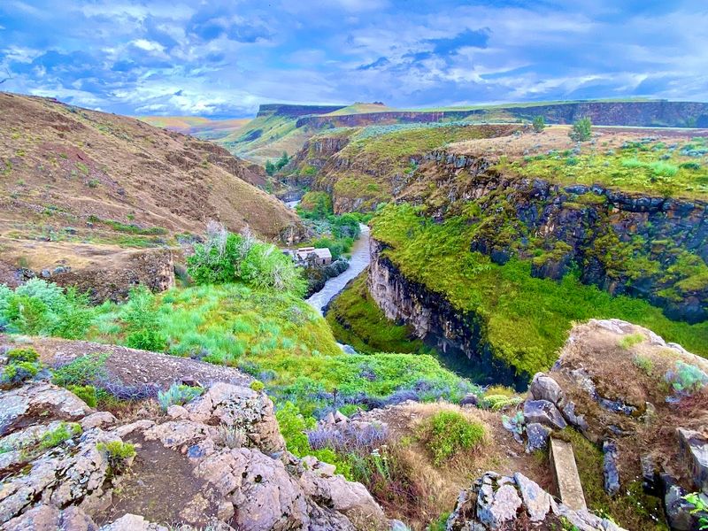 Wildlife and Desert Canyon Ecology