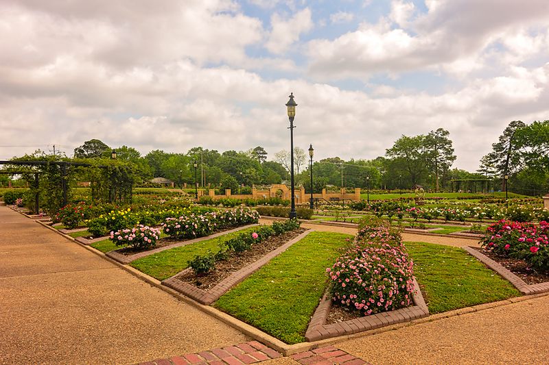 The Heritage Garden and Its Historical Roses