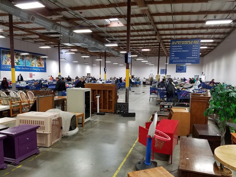 Navigating the Store Layout Like a Regular