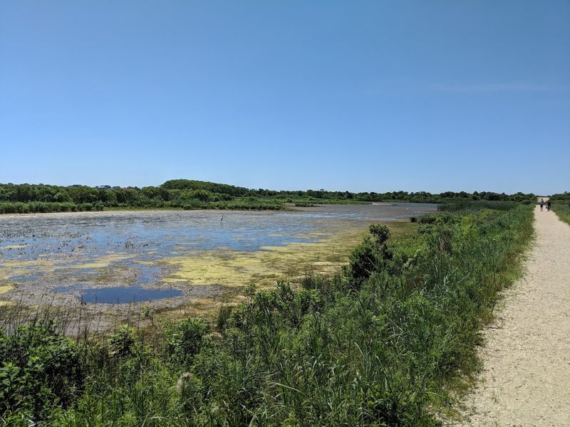 Trails Through Dunes, Meadows, and Wetlands