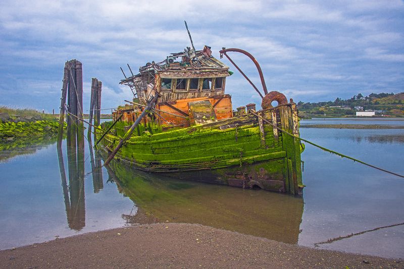 A Working Life on the Pacific Coast