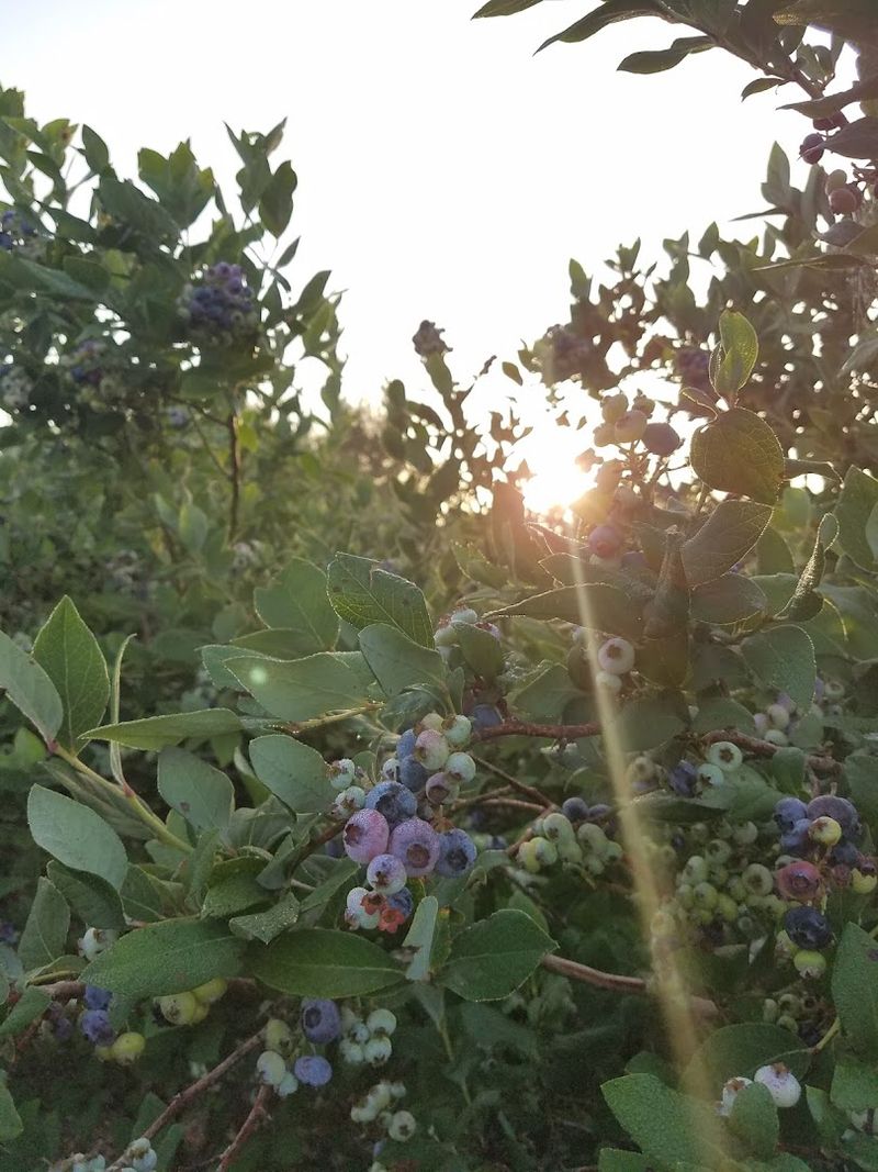 Early Morning Visits Change The Whole Experience