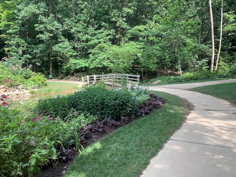 The Monarch Way-Station: A Tiny Garden With a Giant Purpose