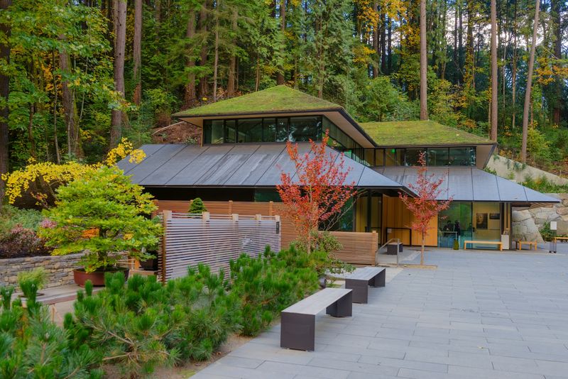 The Umami Cafe and Gift Shop Experience