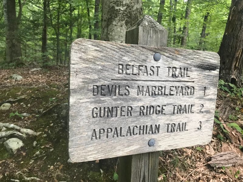 Belfast Trail: Your Gateway Into the Wild