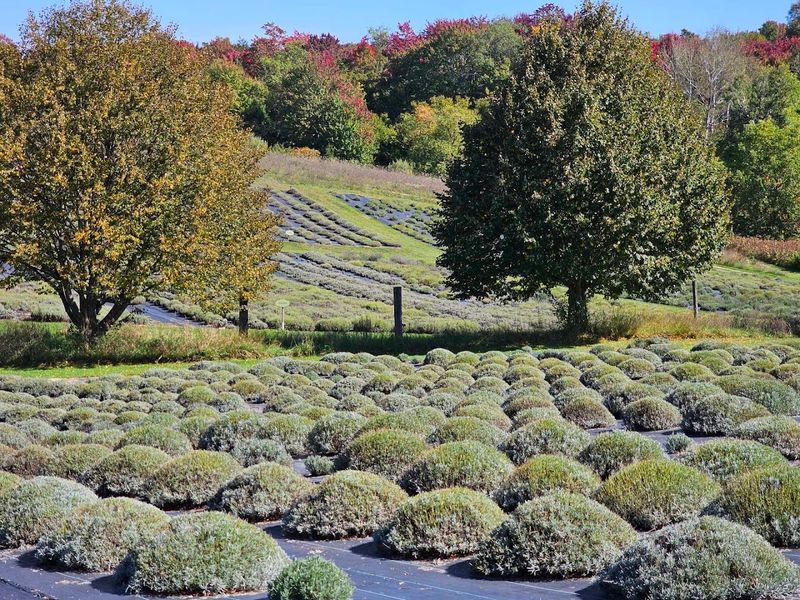 Why Wandering Here Beats A Quick In-And-Out Visit