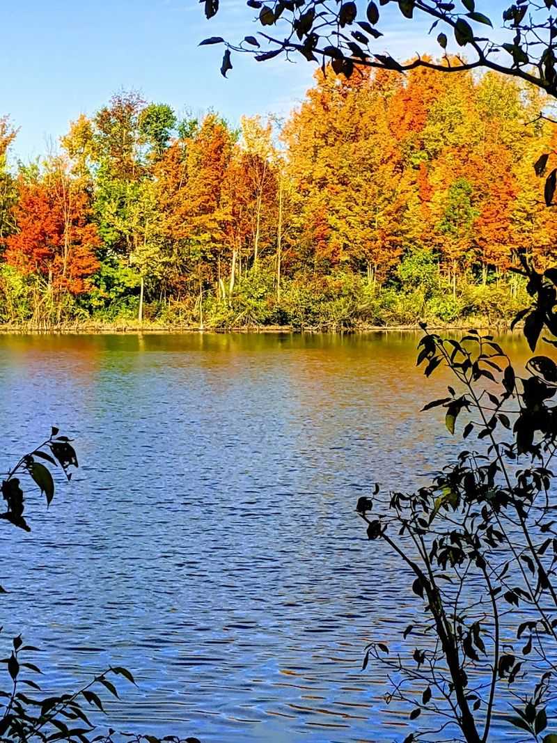 Carmel Adds Charm, Stops, and Surprisingly Good Infrastructure