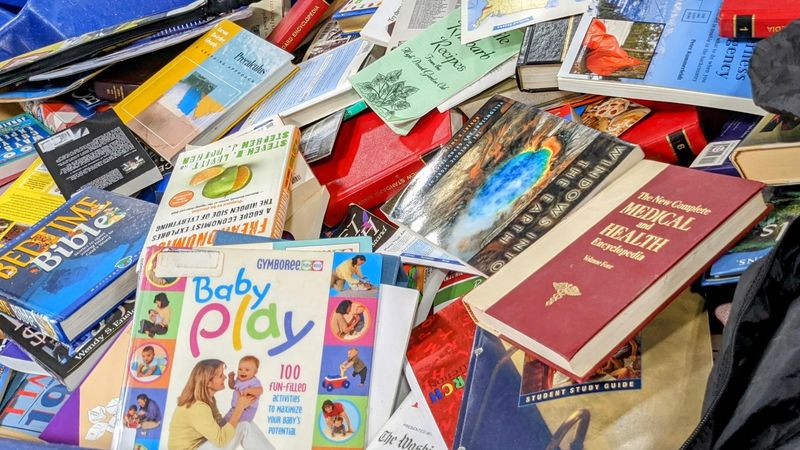 What You Can Realistically Find in the Bins