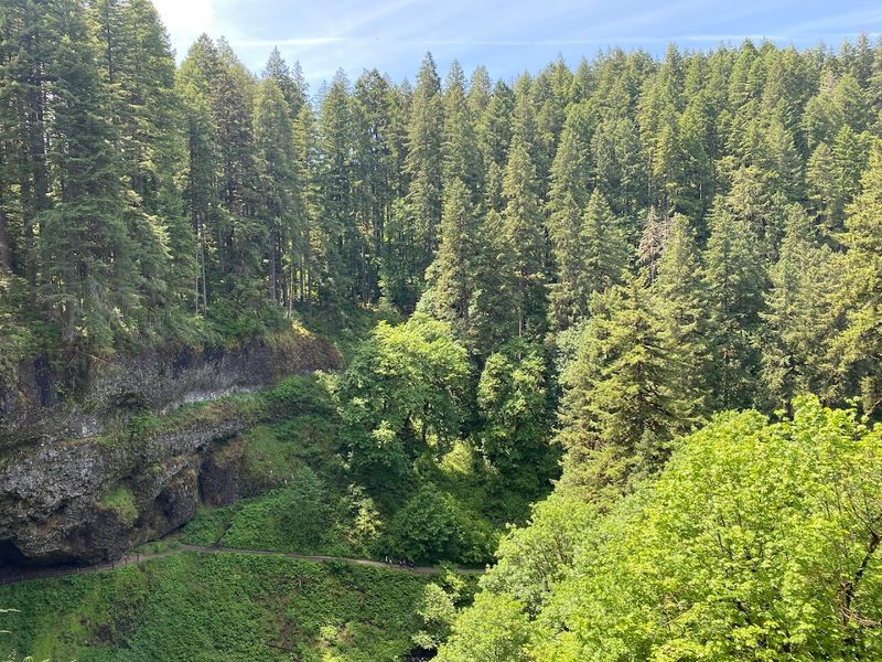 The Rim Trail: Elevated Views You Did Not Expect