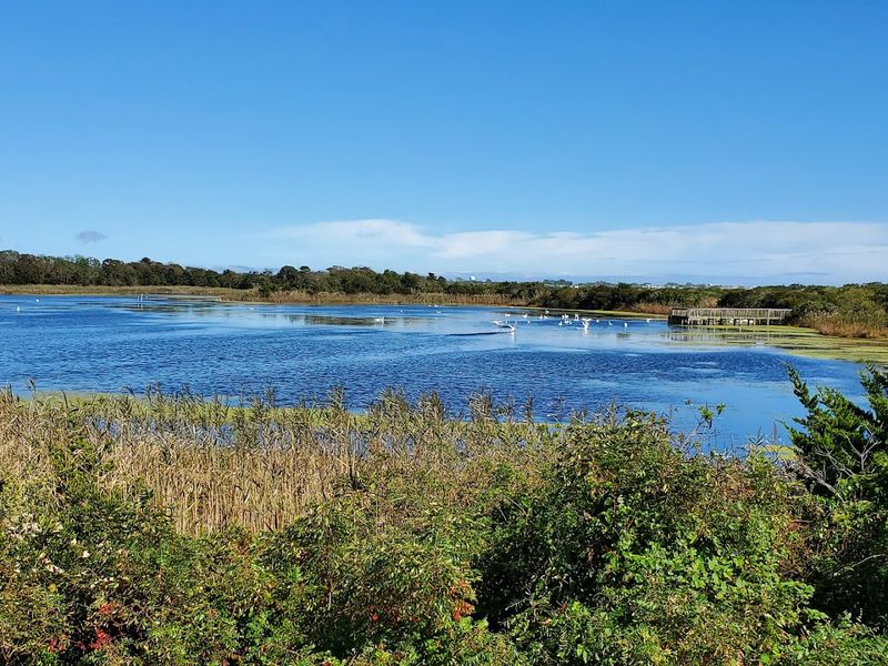 Freshwater Ponds That Feel Like Hidden Worlds