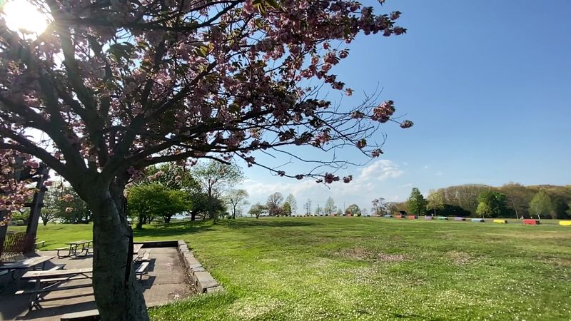 Why The New Chapter Feels More Local Than Flashy