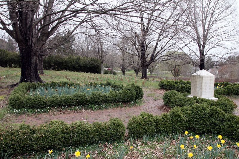 The Antique Rose Collection: Virginia's Most Fragrant Garden Secret