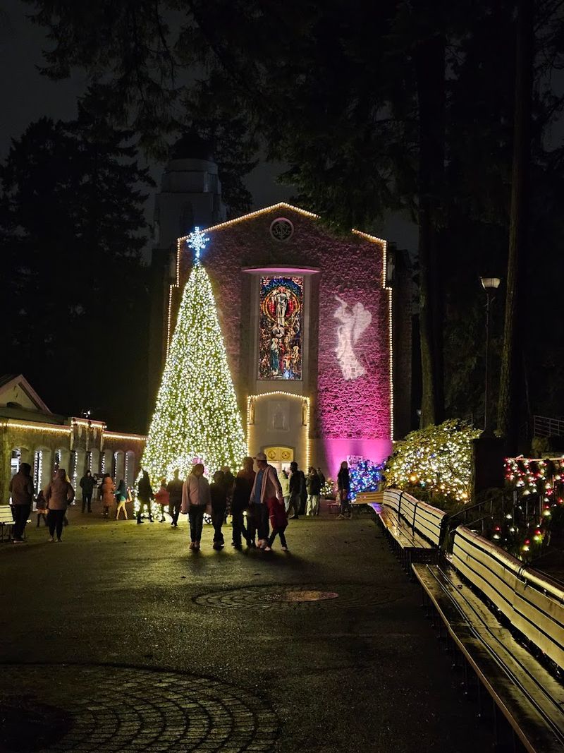 The Christmas Festival of Lights