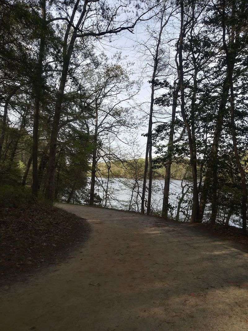 Practical Tips for Getting the Most Out of Your Visit