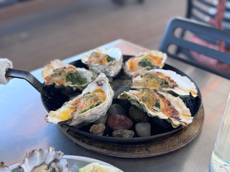 Fresh Oysters Pulled Straight From the Bay