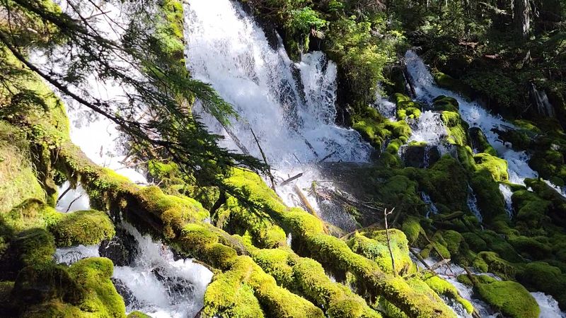 What to Know About Mosquitoes and Timing