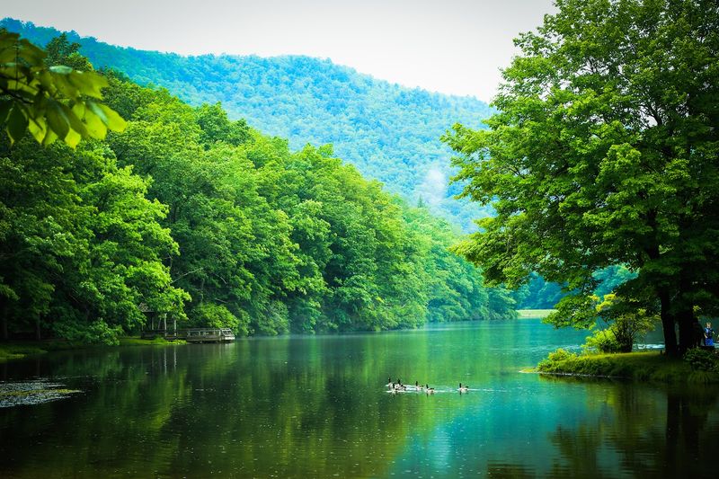 Camping Under the Stars at Sherando Lake