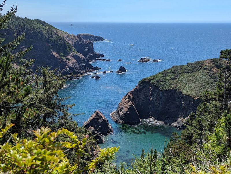 Wildlife Watching: Whales, Birds, and the Occasional Sea Lion