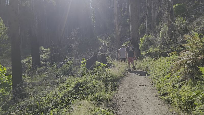 Safety Tips Every Visitor Should Know