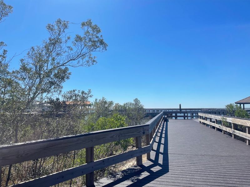 Salt-Marsh Boardwalks Where The Quiet Feels Real