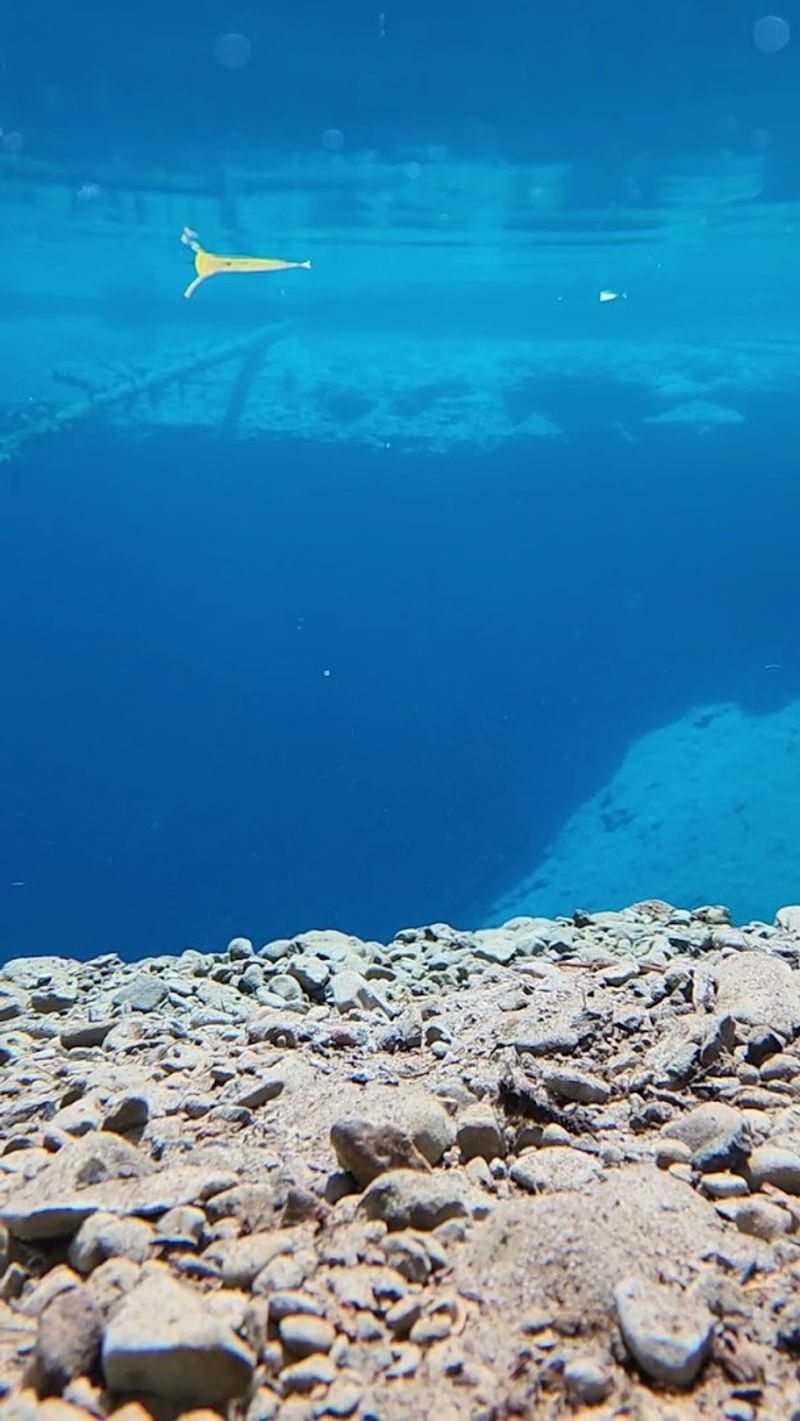 The Year-Round 34-Degree Temperature Explained