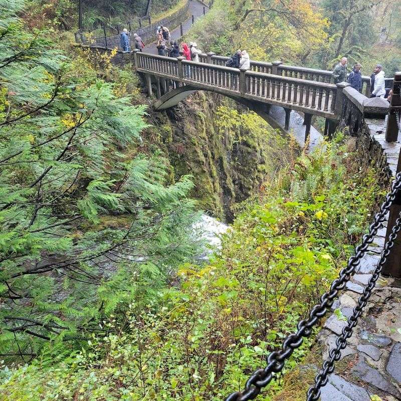 Tips That Actually Make the Visit Worth It